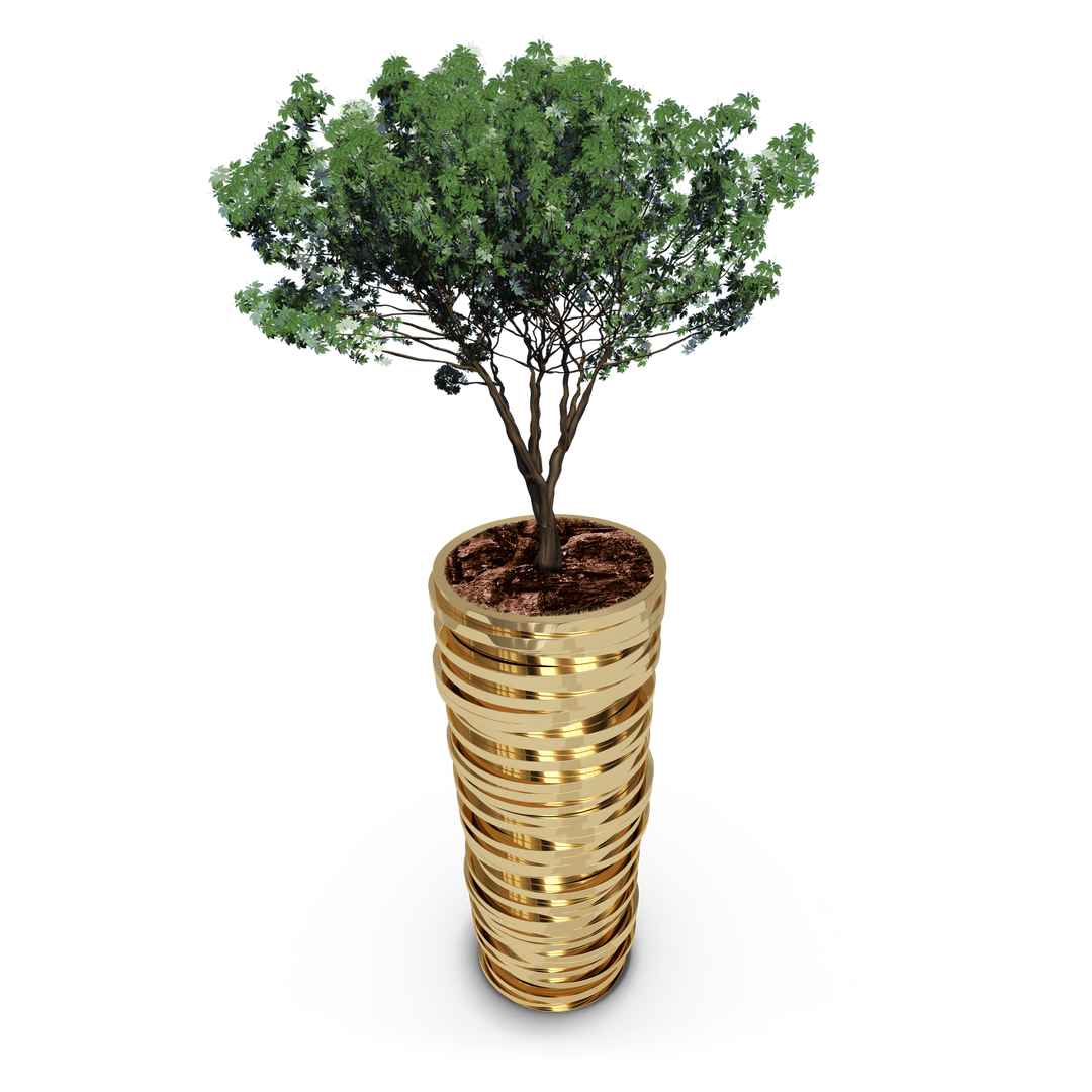 Tree Growing from Golden Coin Pile on Transparent Background - Download Free Stock Images Pikwizard.com