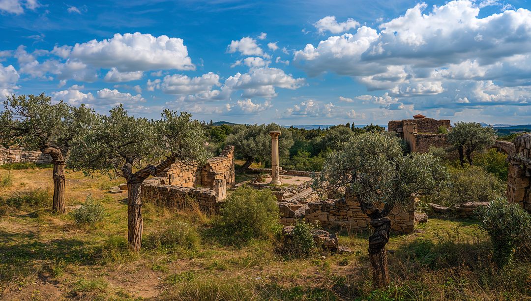 Sunlit Mediterranean Ruins Featuring Freestanding Stone Column, Olive Trees, Blue Sky