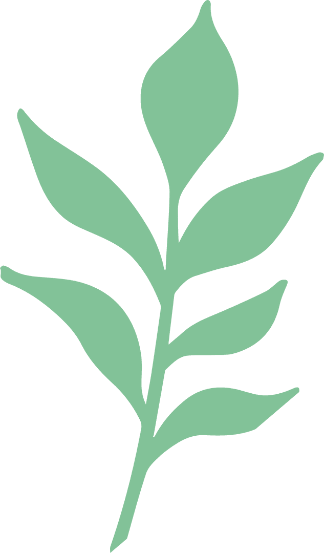Minimalistic Green Plant Branch Illustration on Transparent Background