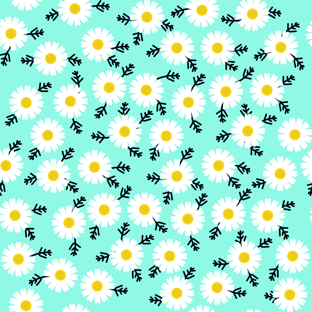 Daisy Pattern Floral Design on Transparent Background