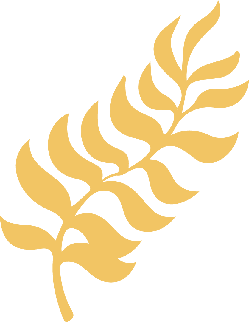 Stylized Golden Leaf Branch on Transparent Background for Elegance Themes