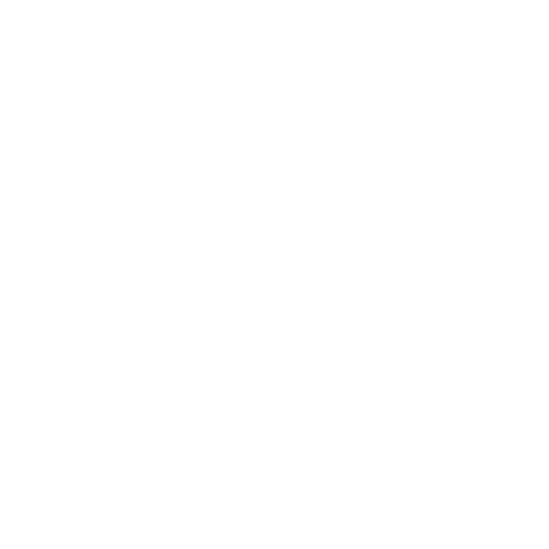 Transparent Minimalist Pie Chart Icon on White Background