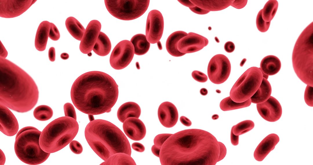 3D Rendering of Red Blood Cells in Motion - Free Images, Stock Photos and Pictures on Pikwizard.com