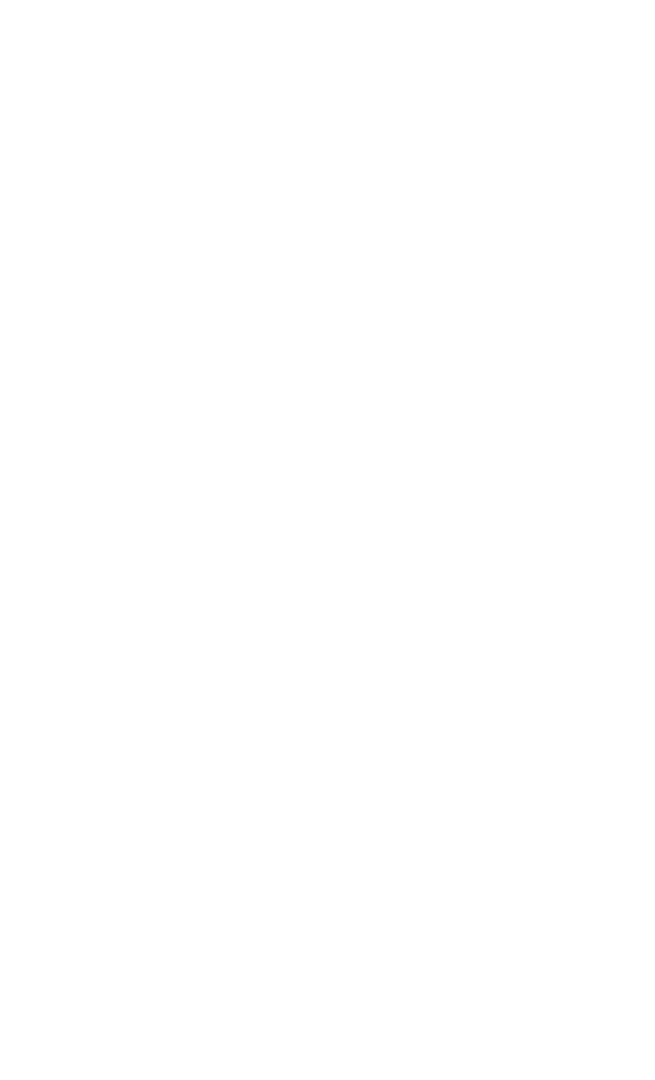 Transparent Silhouette Woman Raising Hands Victory Emotion Vector - Download Free Stock Images Pikwizard.com