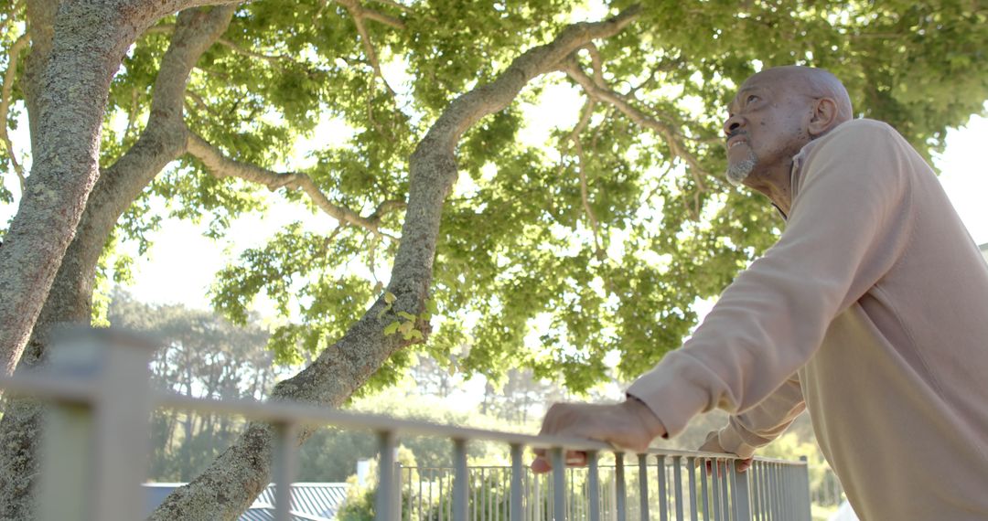 Elderly Man Contemplating Nature at Park Fence in Soft Sunlight - Free Images, Stock Photos and Pictures on Pikwizard.com