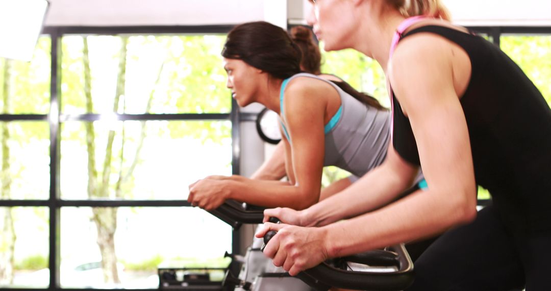 Women Exercising on Stationary Bikes in Modern Gym - Free Images, Stock Photos and Pictures on Pikwizard.com