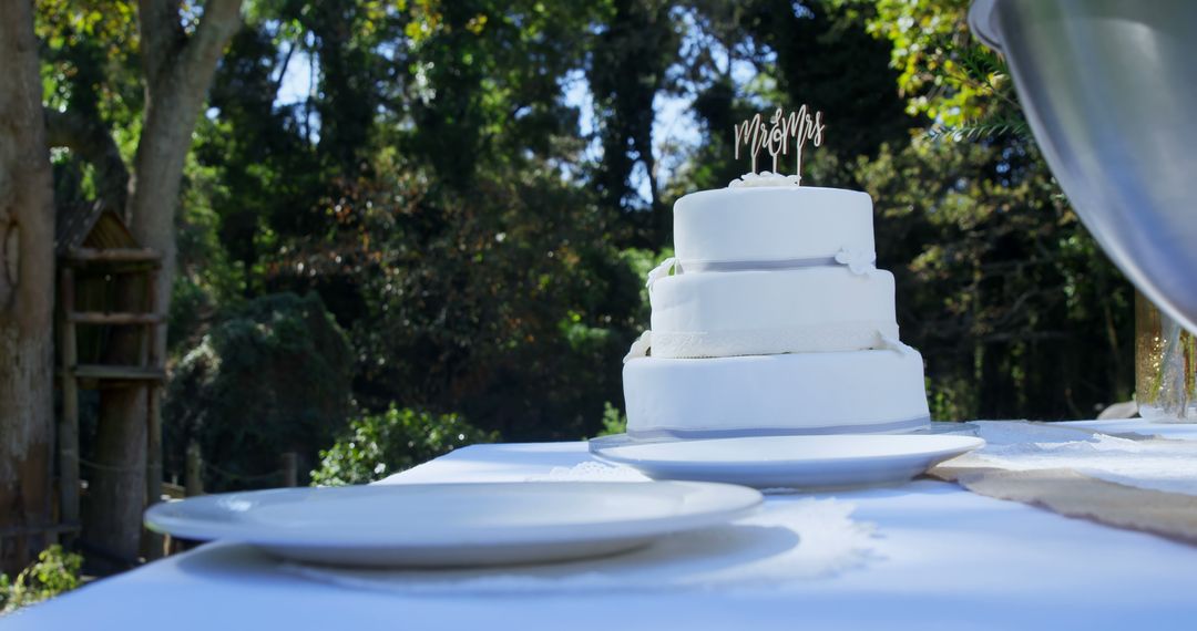 Three-tier wedding cake in outdoor ceremony under trees - Free Images, Stock Photos and Pictures on Pikwizard.com