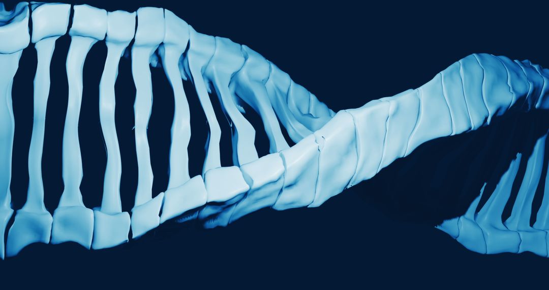 Macro View of Digital 3D DNA Strands Spinning