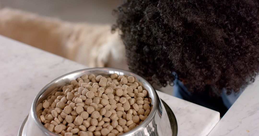 Biracial Woman Preparing Nourishing Dog Meal at Home - Free Images, Stock Photos and Pictures on Pikwizard.com