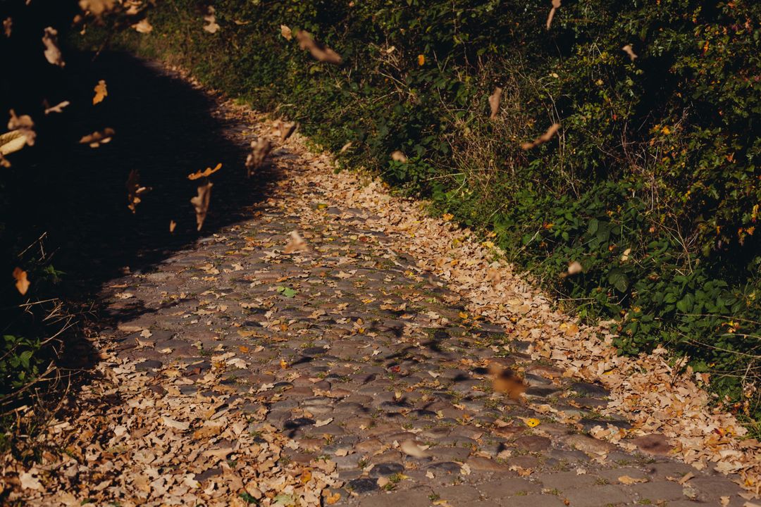 Falling Autumn Leaves on Rustic Cobblestone Pathway