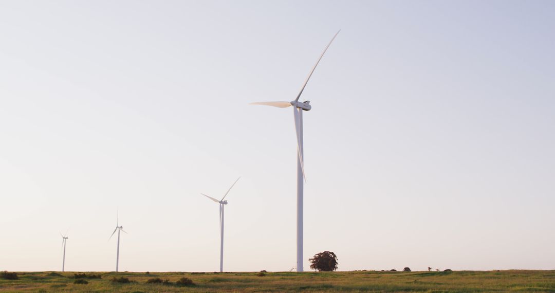 General view of wind turbines in countryside landscape with cloudless sky - Free Images, Stock Photos and Pictures on Pikwizard.com