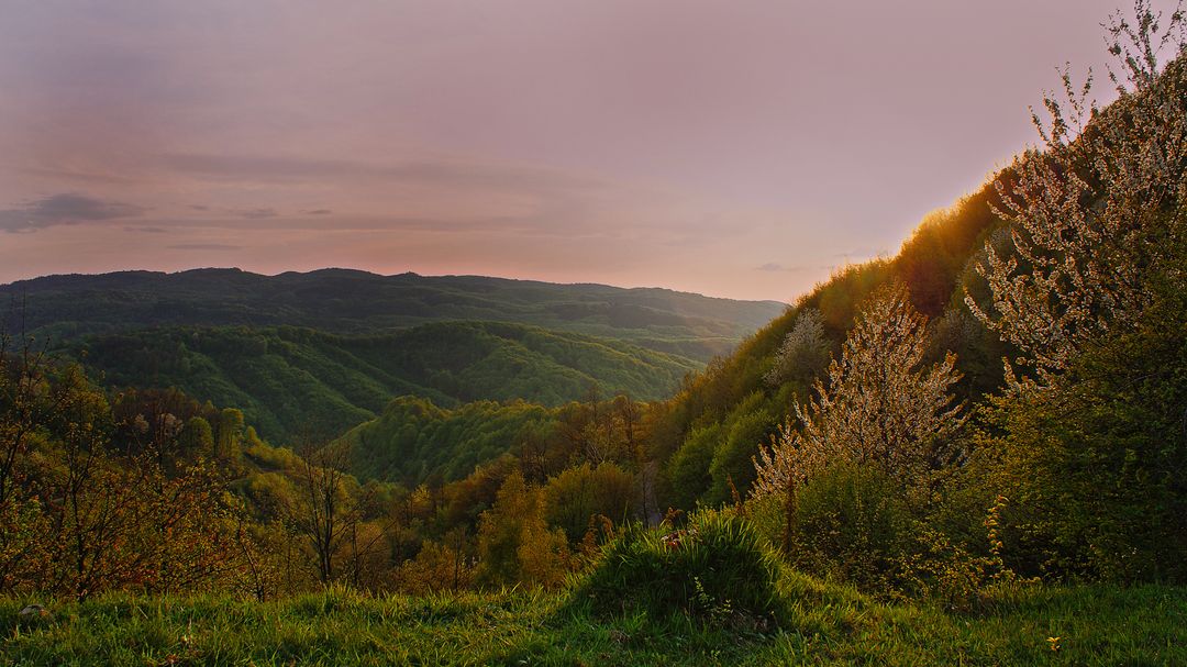 Scenic Landscape of Rolling Hillside at Sunset - Free Images, Stock Photos and Pictures on Pikwizard.com