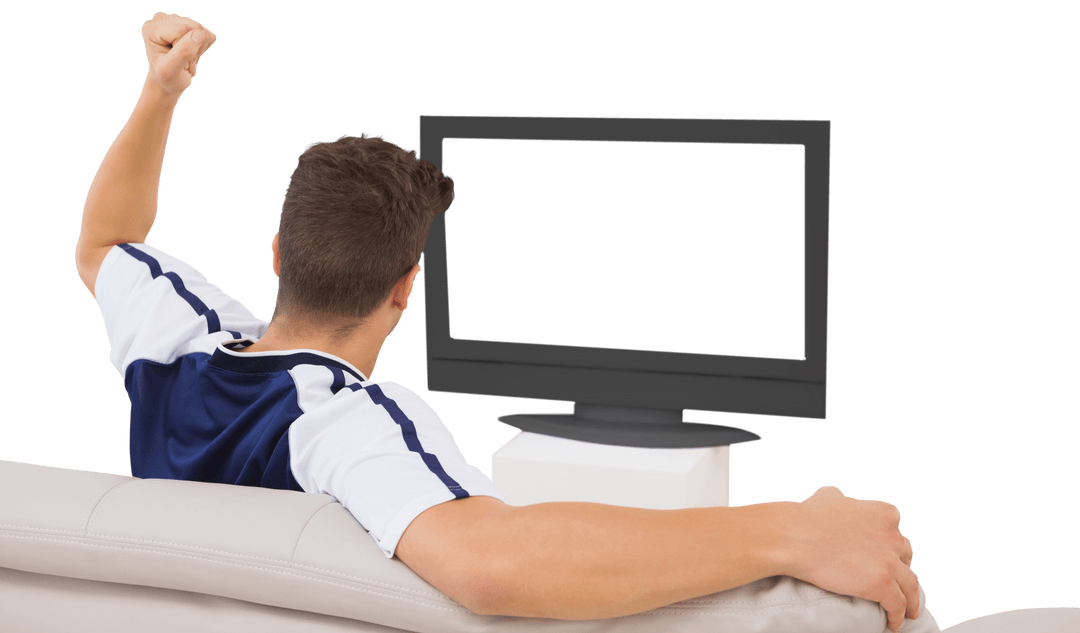 Transparent Viewing Experience with Enthusiastic Sports Fan
