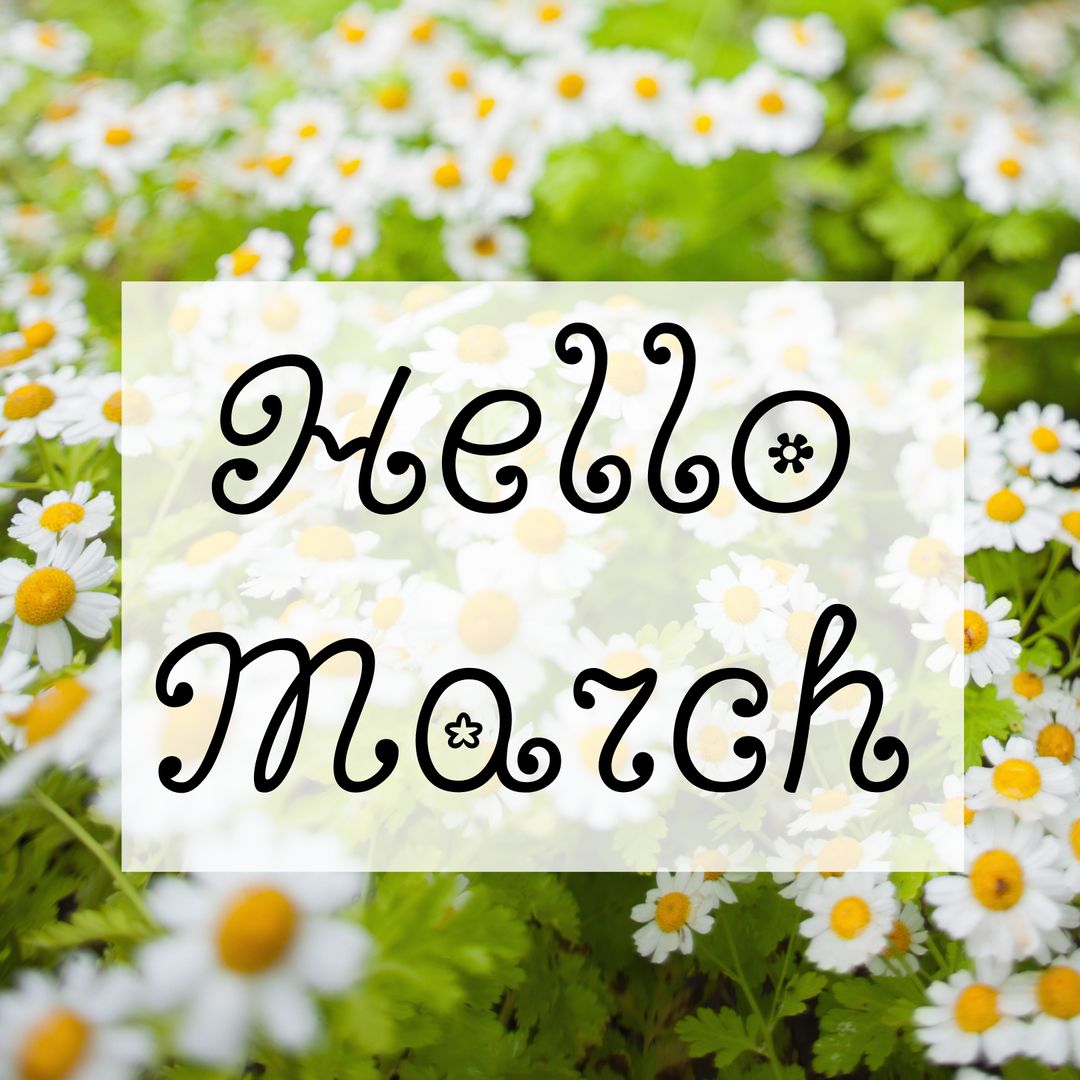 Hello March Greeting with Fresh Daisies Background