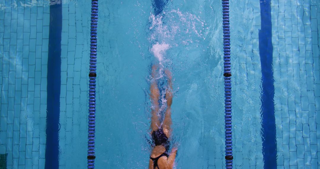 Swimmer Spotted from Above in Pool Lane Diving into Water - Free Images, Stock Photos and Pictures on Pikwizard.com