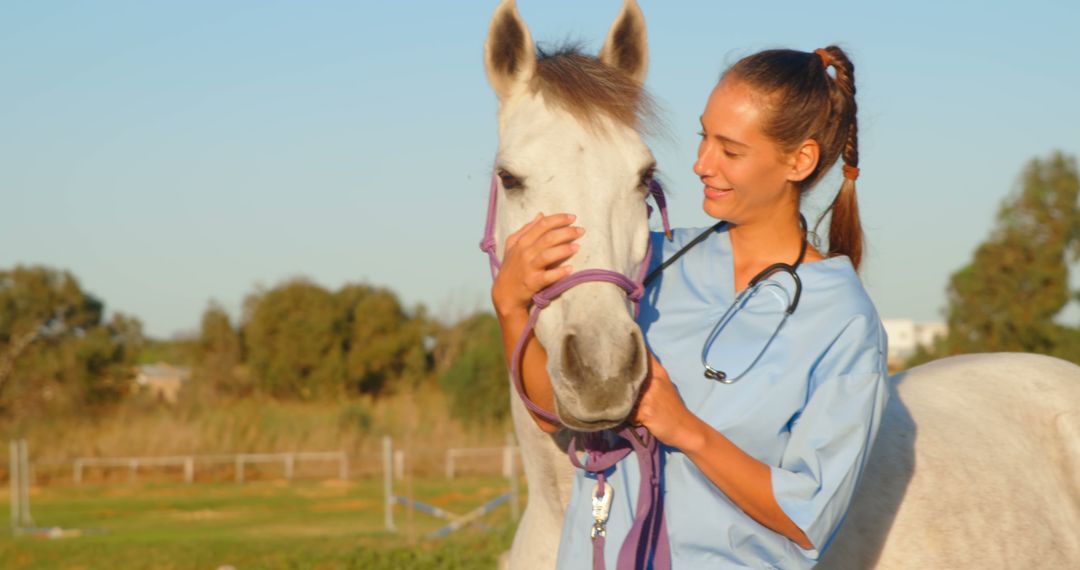 Vet Smiling While Comforting White Horse in Field at Sunset - Free Images, Stock Photos and Pictures on Pikwizard.com