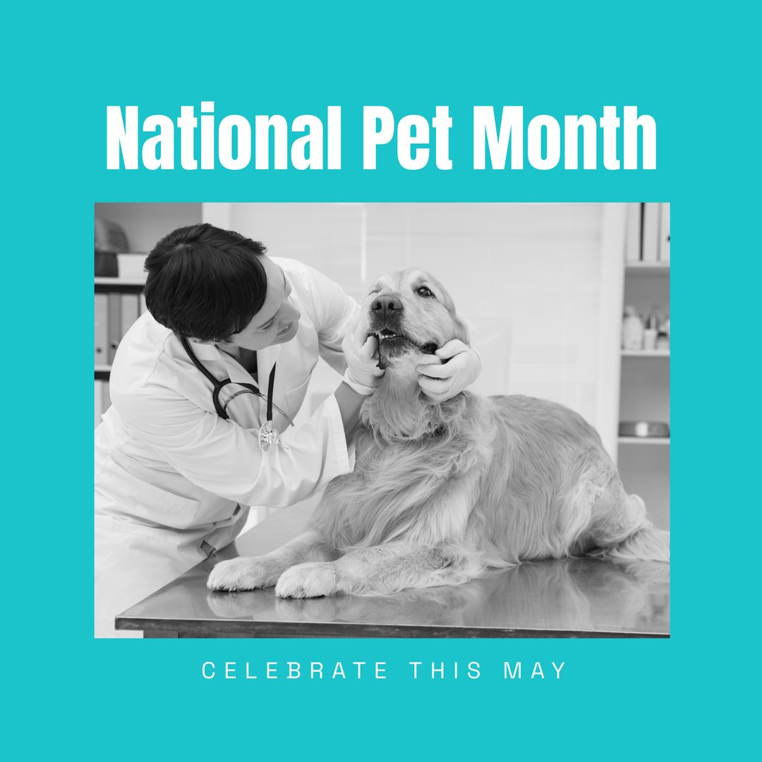 Vet Examining Dog for National Pet Month Campaign