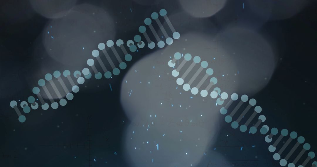 Digital Representation of DNA Strands in Scientific Research