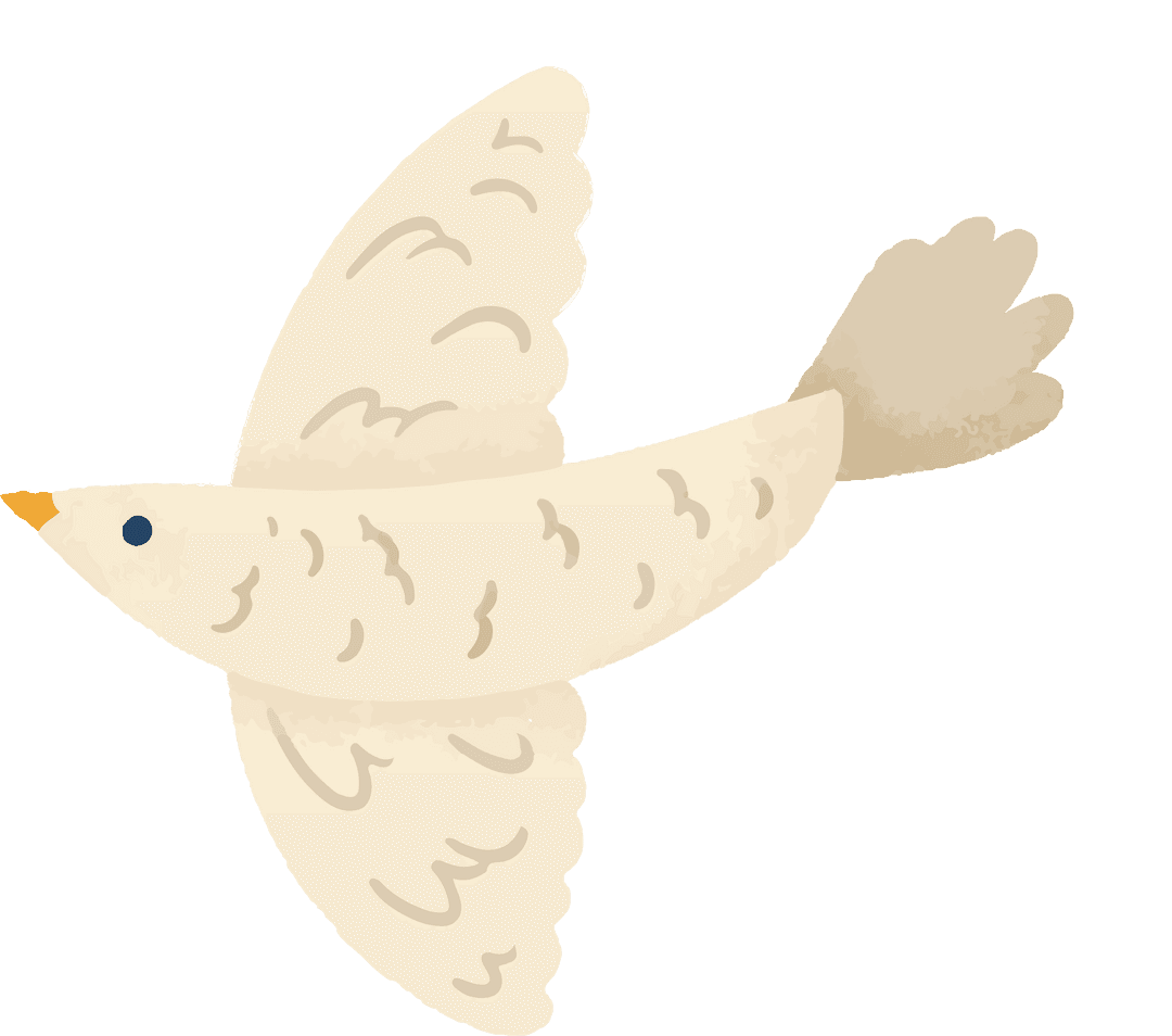 Minimalist Flat Cream Bird Flying on Transparent Background