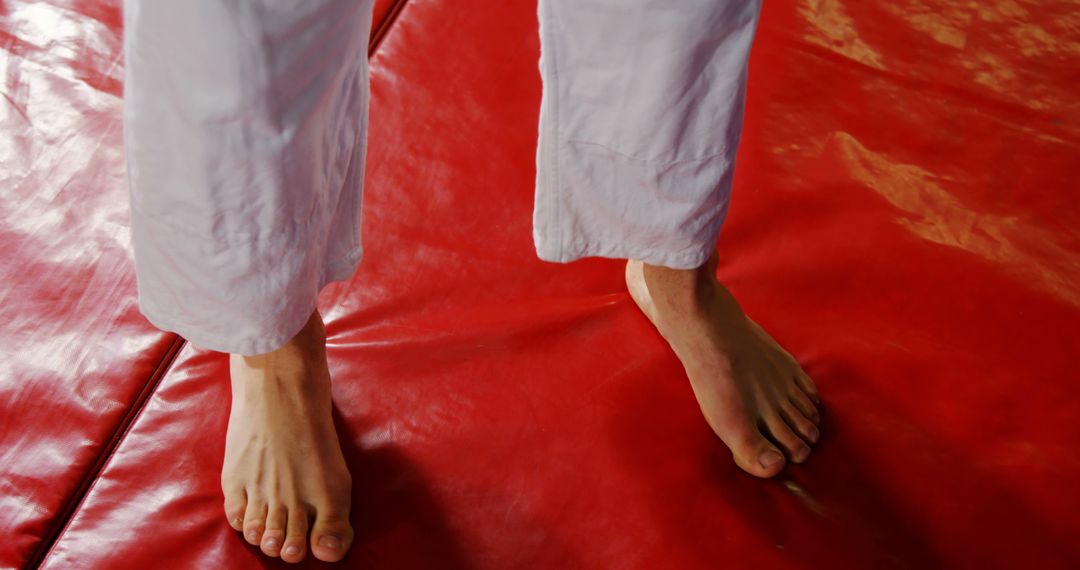 Close-Up of Barefoot Martial Artist On Red Training Mat - Free Images, Stock Photos and Pictures on Pikwizard.com