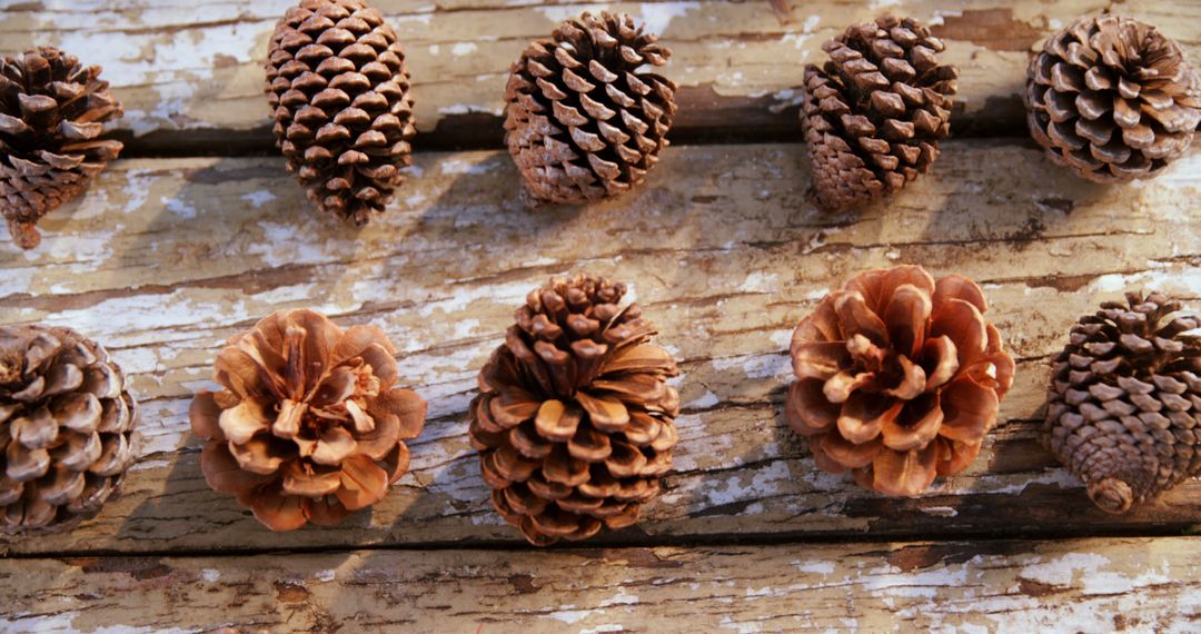 Rustic Pinecones Arranged on Weathered Wooden Surface - Free Images, Stock Photos and Pictures on Pikwizard.com