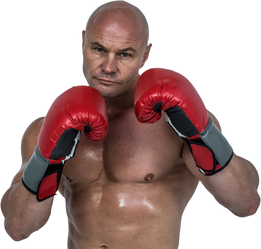 Transparent Image of Bald Boxer in Red Boxing Gloves - Download Free Stock Images Pikwizard.com