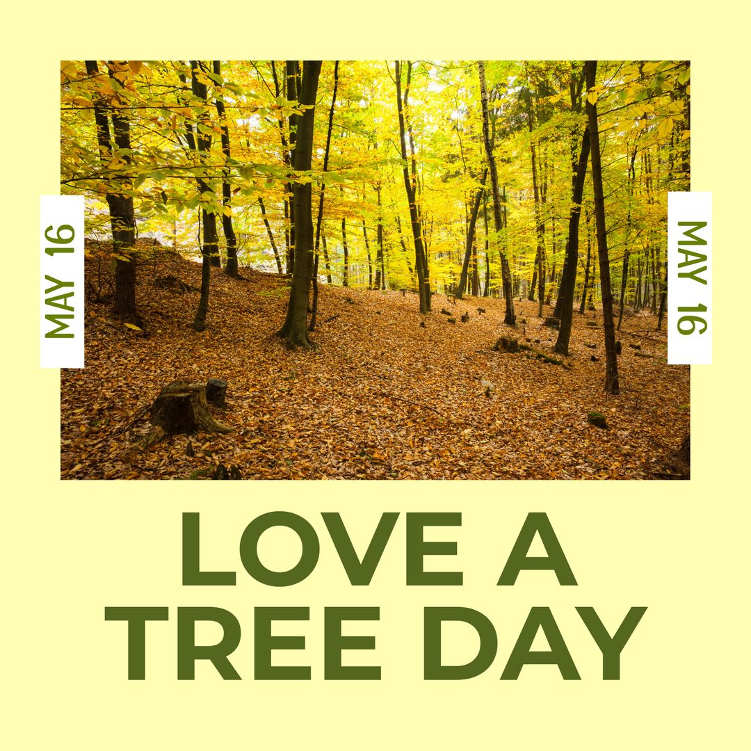 Celebrating Love a Tree Day in Lush Green Forest