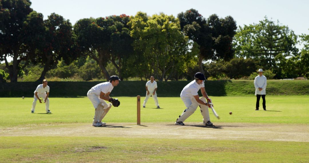 Men Playing Cricket Game Outdoors on Sunny Day - Free Images, Stock Photos and Pictures on Pikwizard.com