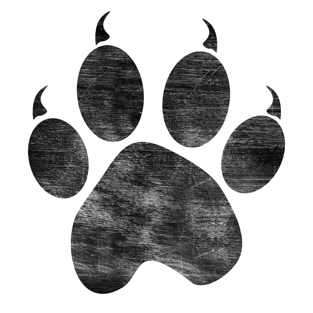 Transparent Animal Paw Print With Claws Illustration