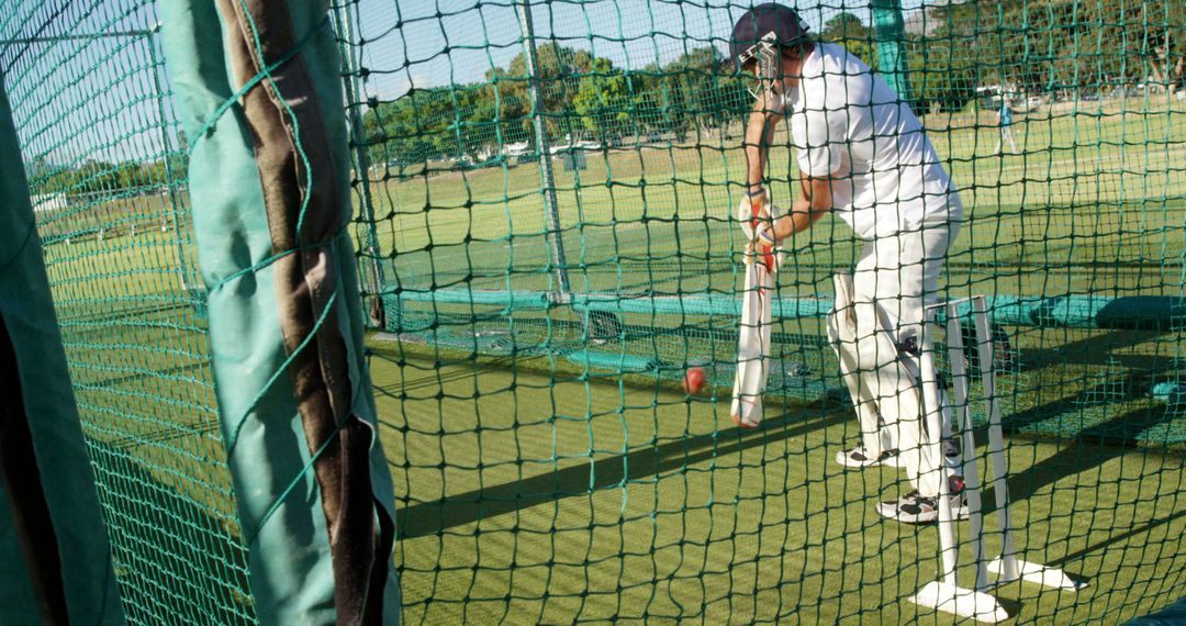 Cricketers Training in Nets for Match Preparation