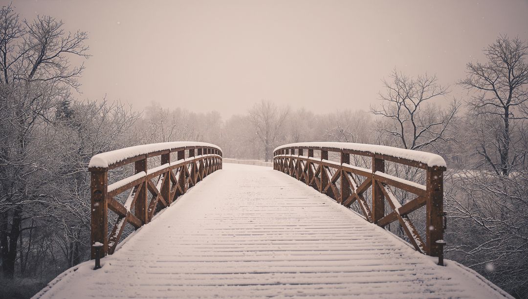 Snow-Covered Wooden Bridge Leading Into Foggy Winter Forest Pathway for Quiet Moments
