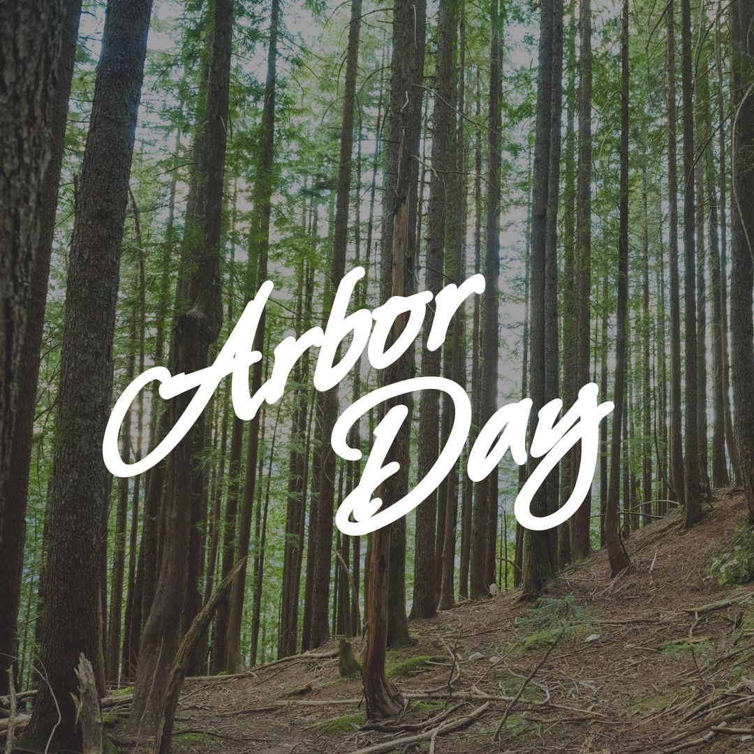 Arbor Day Celebration in Serene Forest During Daylight