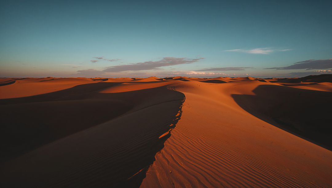 Golden Dune Crest Stretching Across Desert at Dawn with Wind Ripples and Long Shadows Minimalist