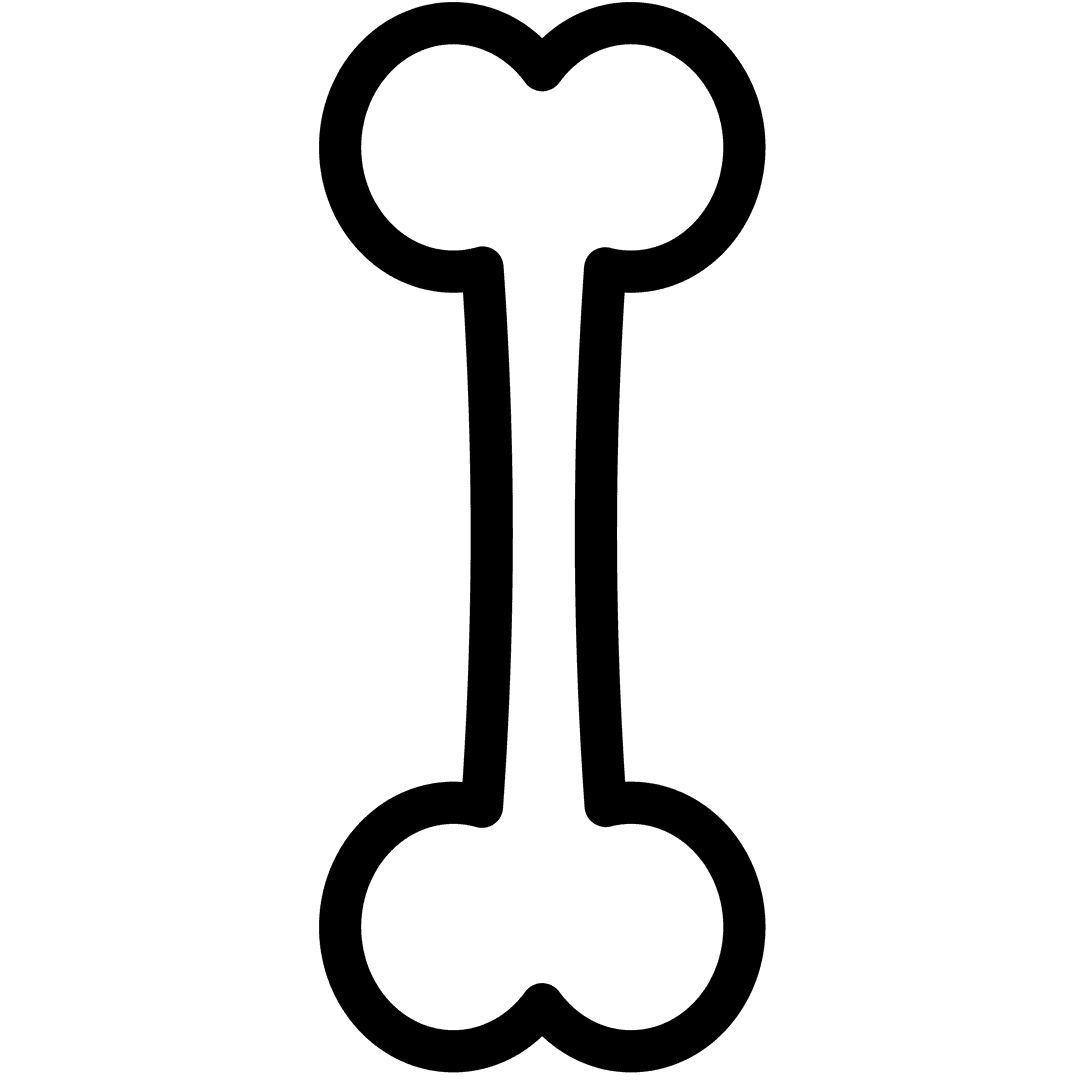 Transparent Black Bone Outline on White Background