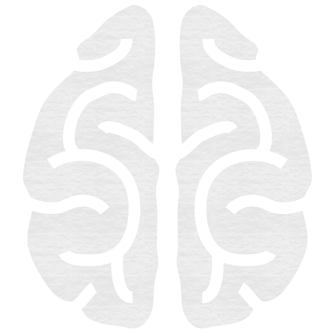 Transparent Brain Vector Outline on White