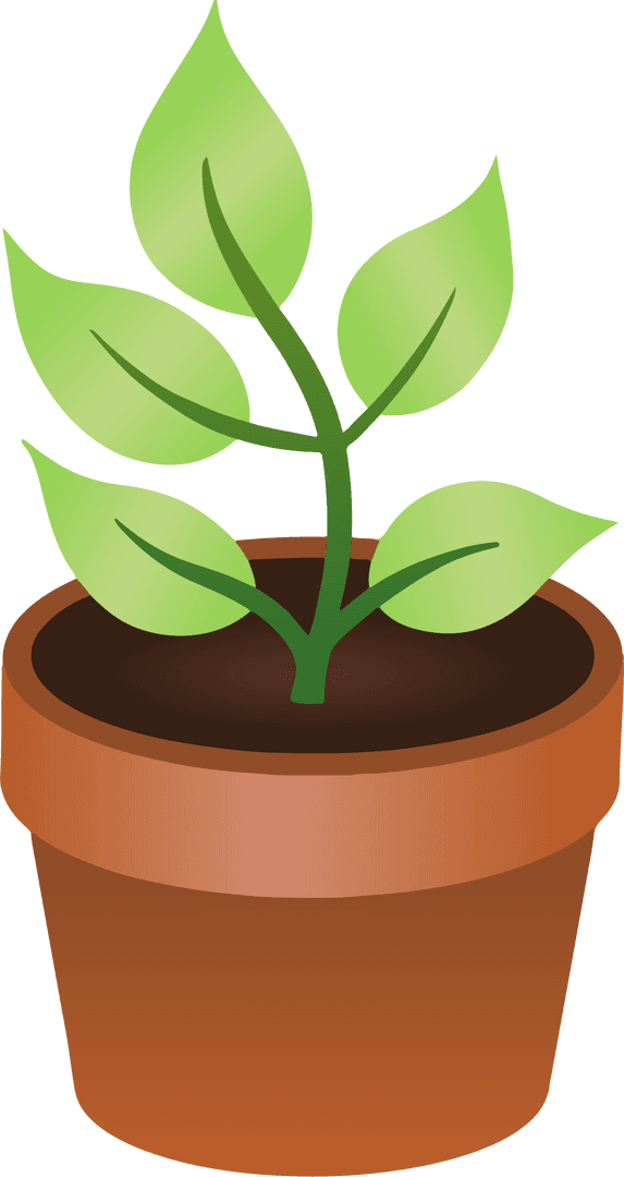 Green Seedling in Terracotta Pot on Transparent Background