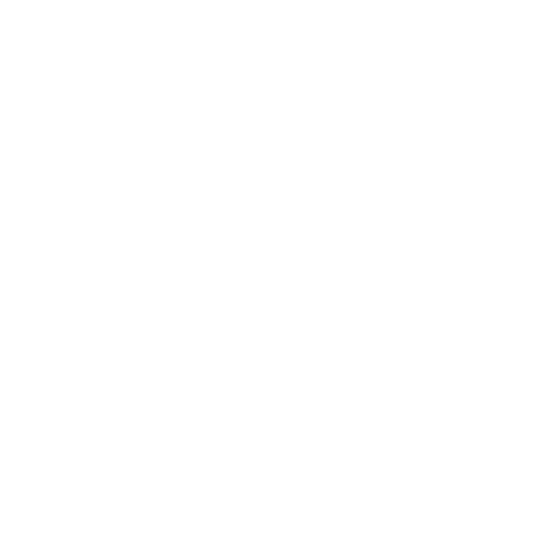 White Musical Sound Hole Outline on Transparent Background