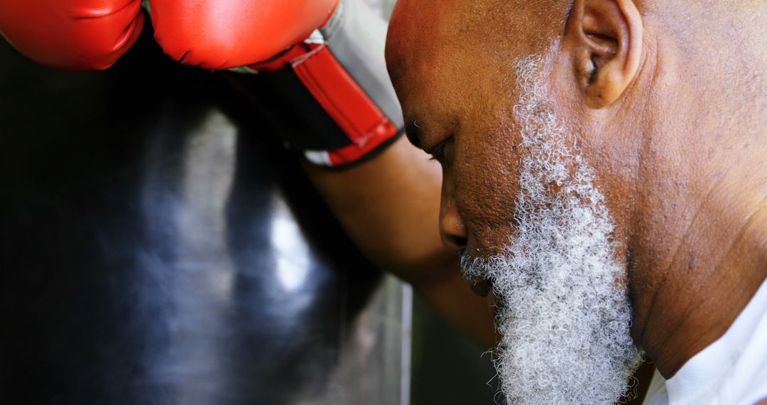 Focused Senior Boxer in Training with Red Gloves - Free Images, Stock Photos and Pictures on Pikwizard.com