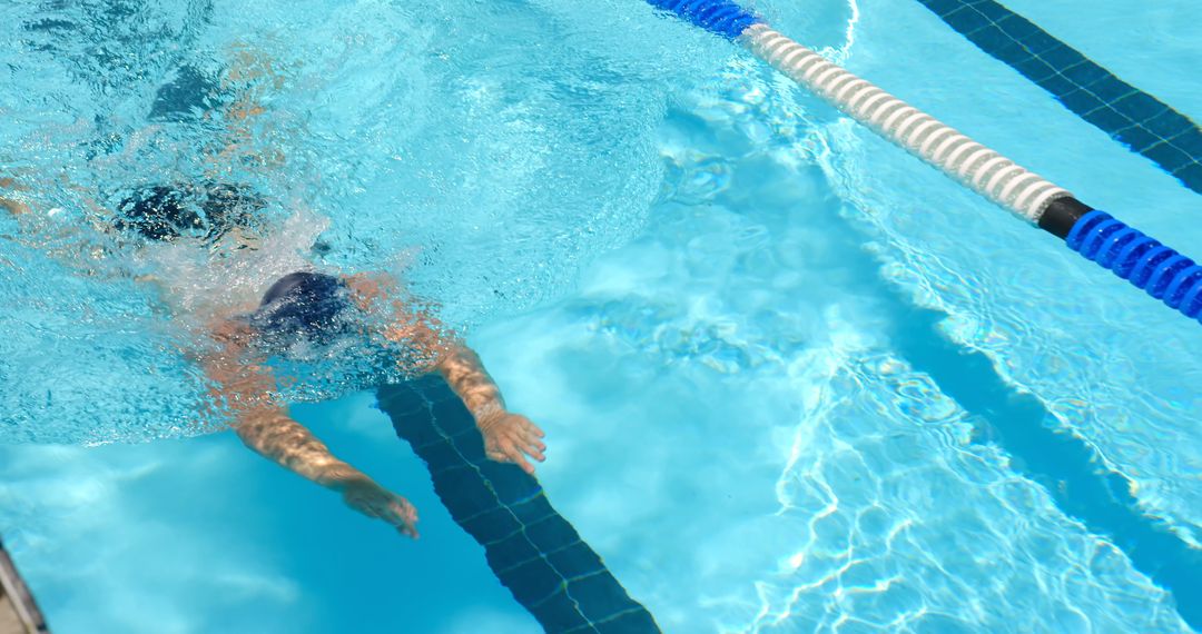 Swimmer Diving Into Olympic-size Pool with Lanes - Free Images, Stock Photos and Pictures on Pikwizard.com