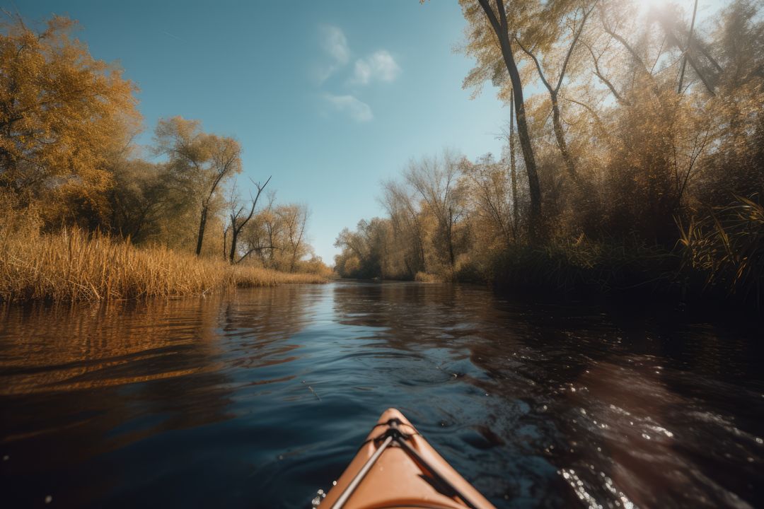 Kayaking through Serene Autumn Forest River - Free Images, Stock Photos and Pictures on Pikwizard.com