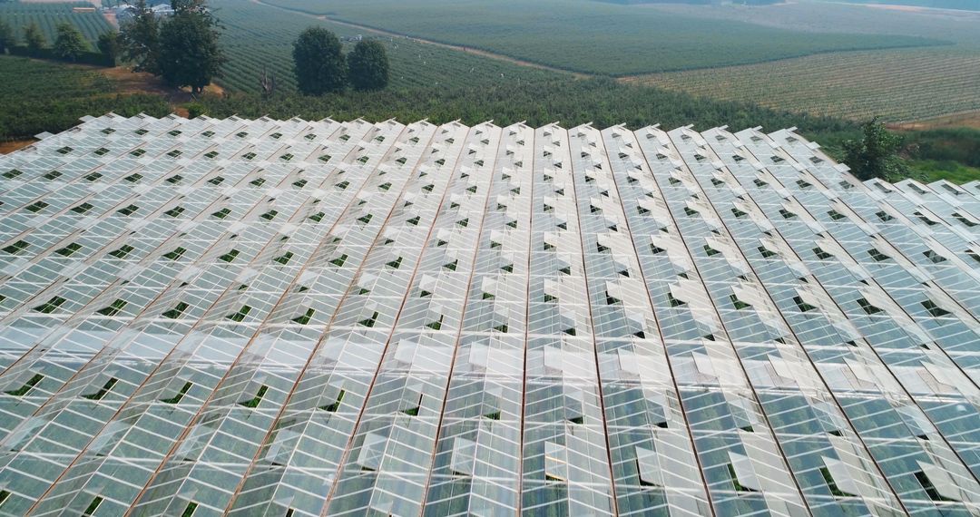 Aerial View of Expansive Greenhouse in Rural Landscape