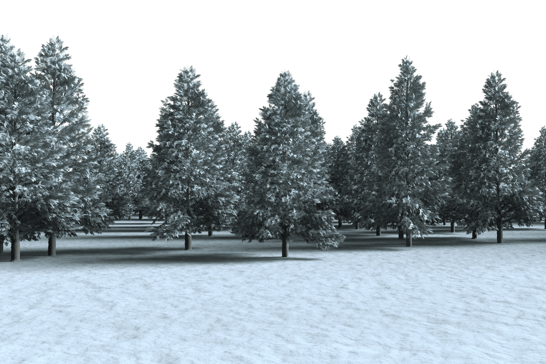 Tranquil Snow-covered Forest Transparent Background Scene