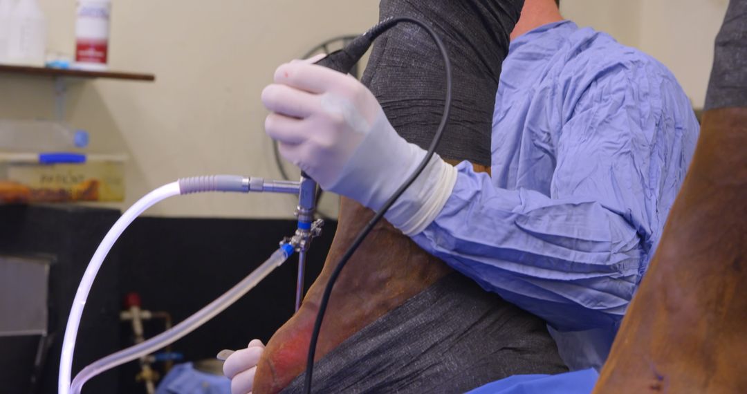 Veterinary Surgeon Performing Equine Endoscopic Surgery