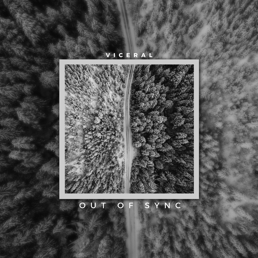 Monochrome Aerial View of Forest Featuring Road for Artistic Album Cover