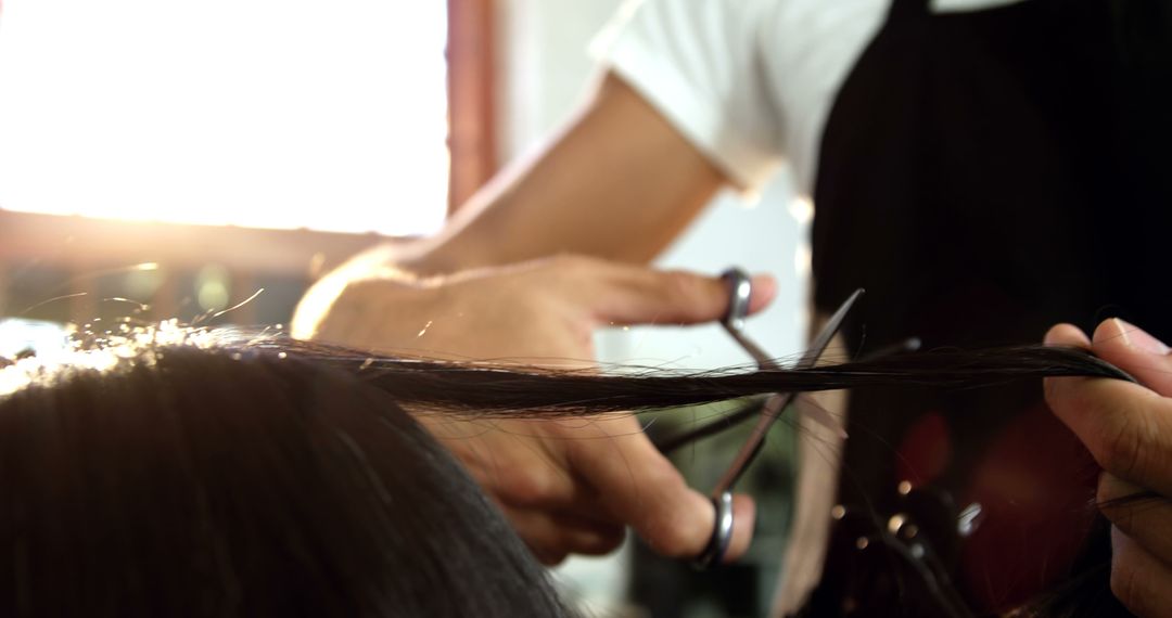 Close-Up of Hairdresser Cutting Hair in Salon with Sunlight - Free Images, Stock Photos and Pictures on Pikwizard.com