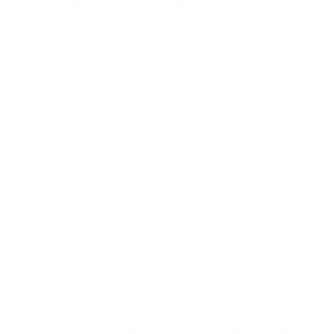 Elegant White Floral Border with Transparent Background