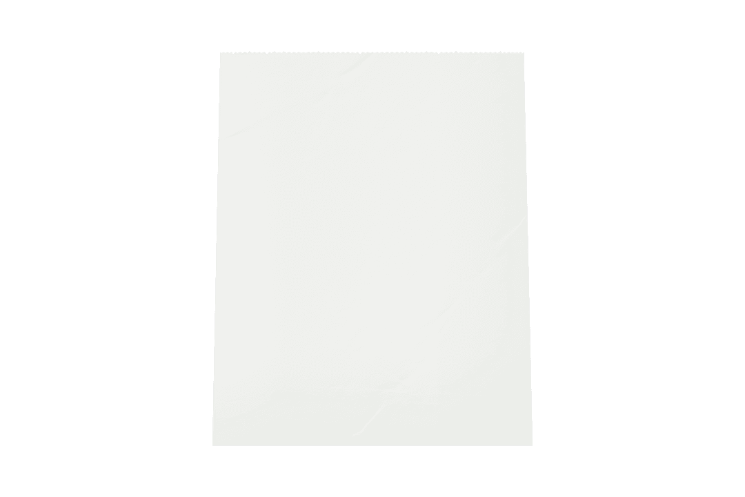 Transparent White Paper Shopping Bag with Blank Space