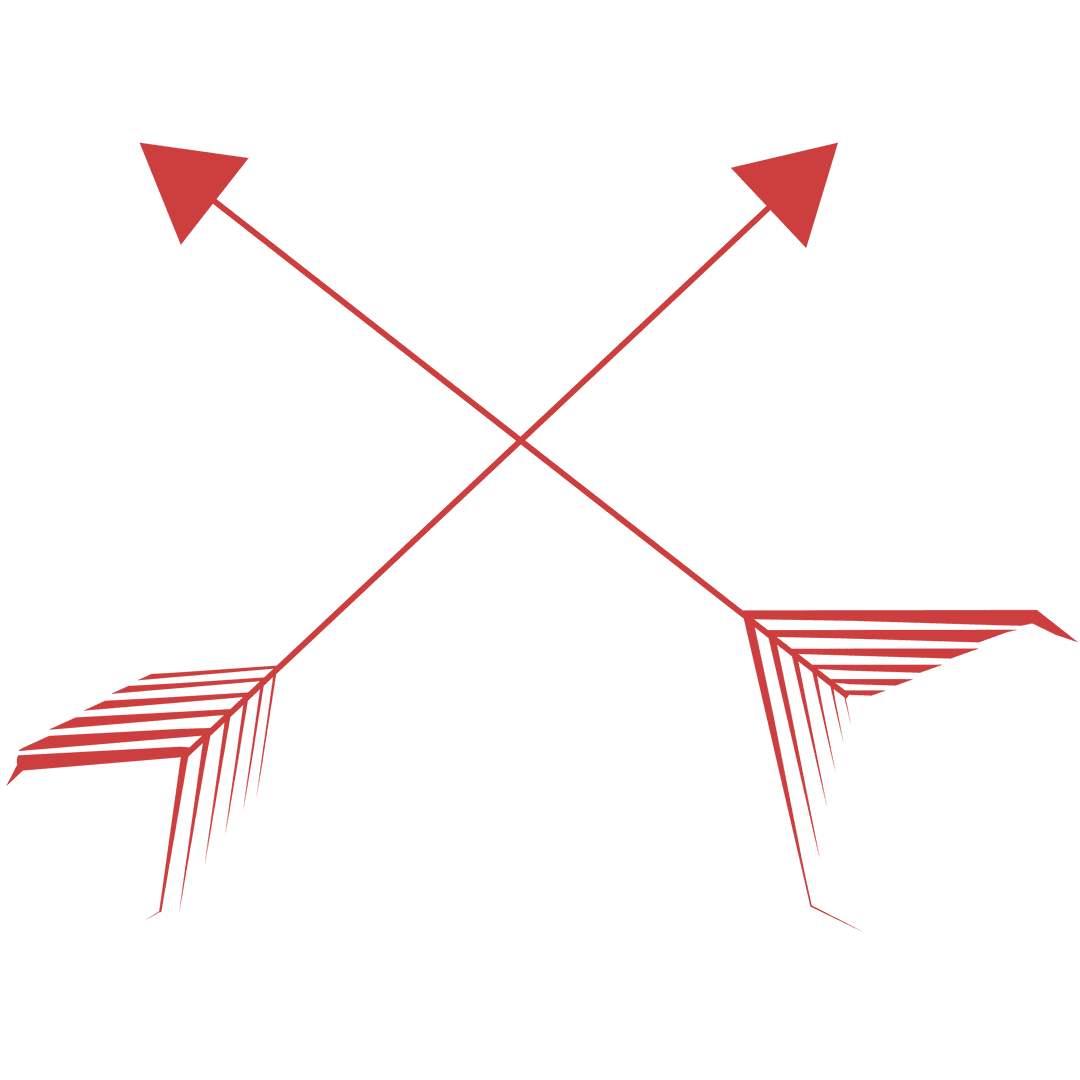 Red Arrows Diagonal Cross Transparent Vector Illustration