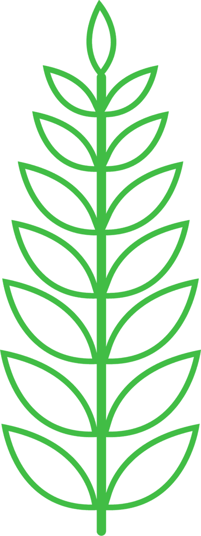 Transparent Illustration of Green Plant with Symmetrical Leaves