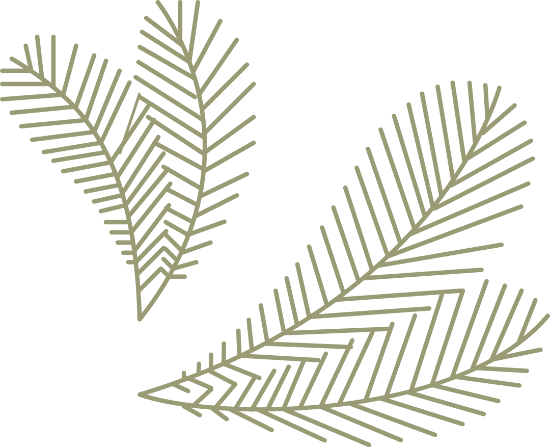 Stylized Botanical Fronds on Transparent Background